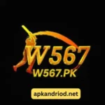 w567 game